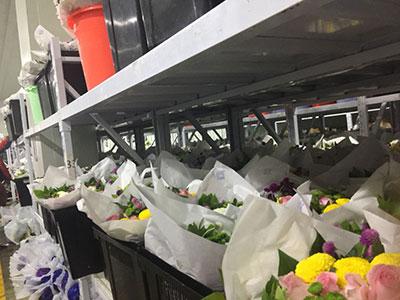Natural Flower Cold Storage Warehouse